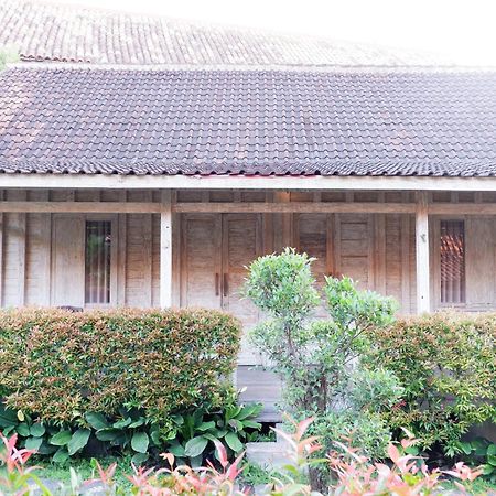 Kubudiuma Villas Bali تْشانغو المظهر الخارجي الصورة