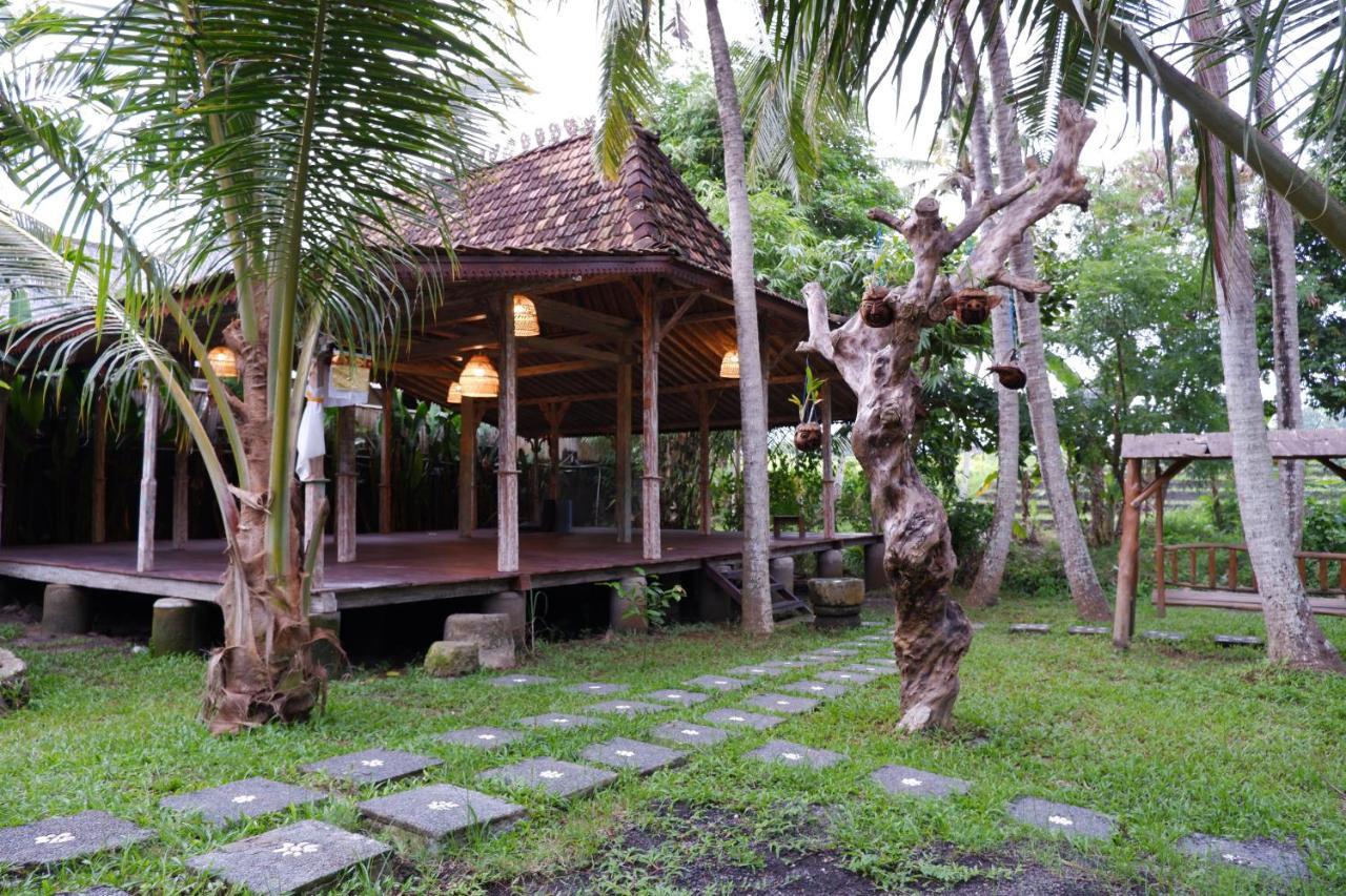 Kubudiuma Villas Bali تْشانغو المظهر الخارجي الصورة
