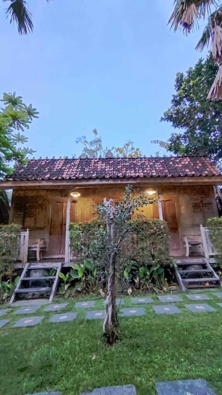 Kubudiuma Villas Bali تْشانغو المظهر الخارجي الصورة
