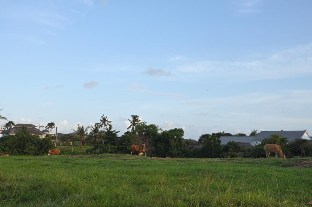 Kubudiuma Villas Bali تْشانغو المظهر الخارجي الصورة