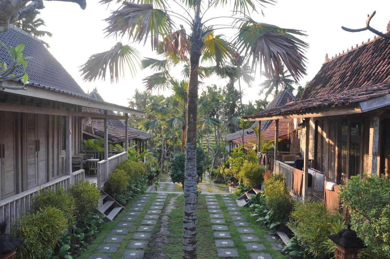 Kubudiuma Villas Bali تْشانغو المظهر الخارجي الصورة